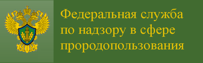 Федеральная служба по надзору в сфере природопользования